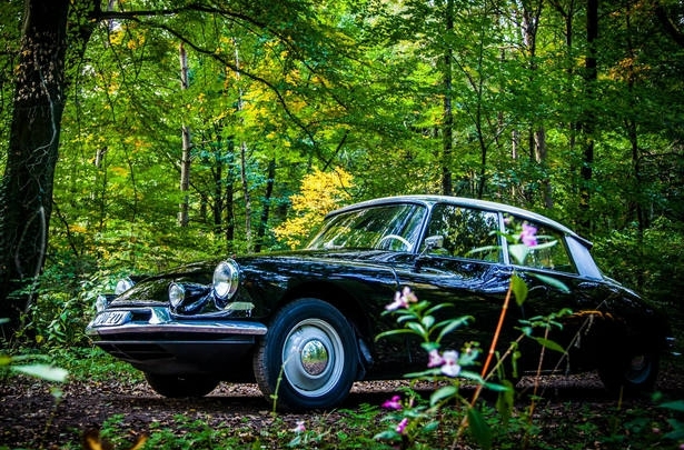 CineCars vangt Snoeken