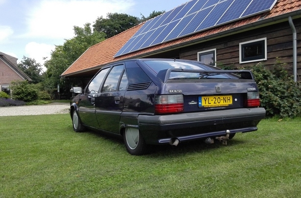 Eerste hulp bij Citrofilie